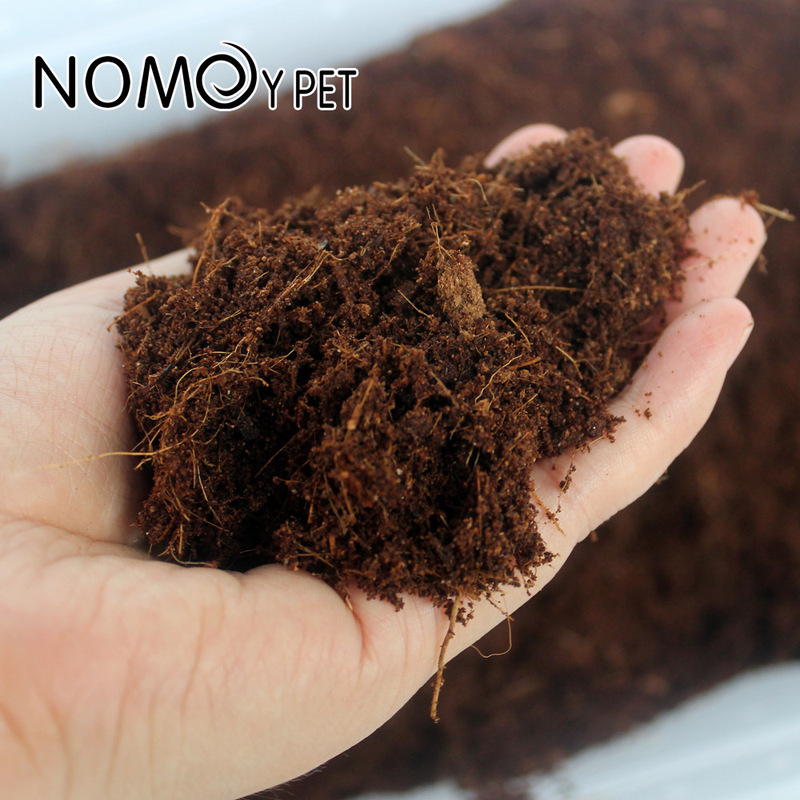 Sphagnum Moss Dry - วัสดุรองพื้นสำหรับสัตว์เลื้อยคลานจากใยมะพร้าว – ช่วยกักเก็บความชื้นและให้ความอบอุ่นสำหรับการจำศีลของเต่า, วัสดุรองพื้นธรรมชาติสำหรับแมงมุม, เต่า, และกิ้งก่า