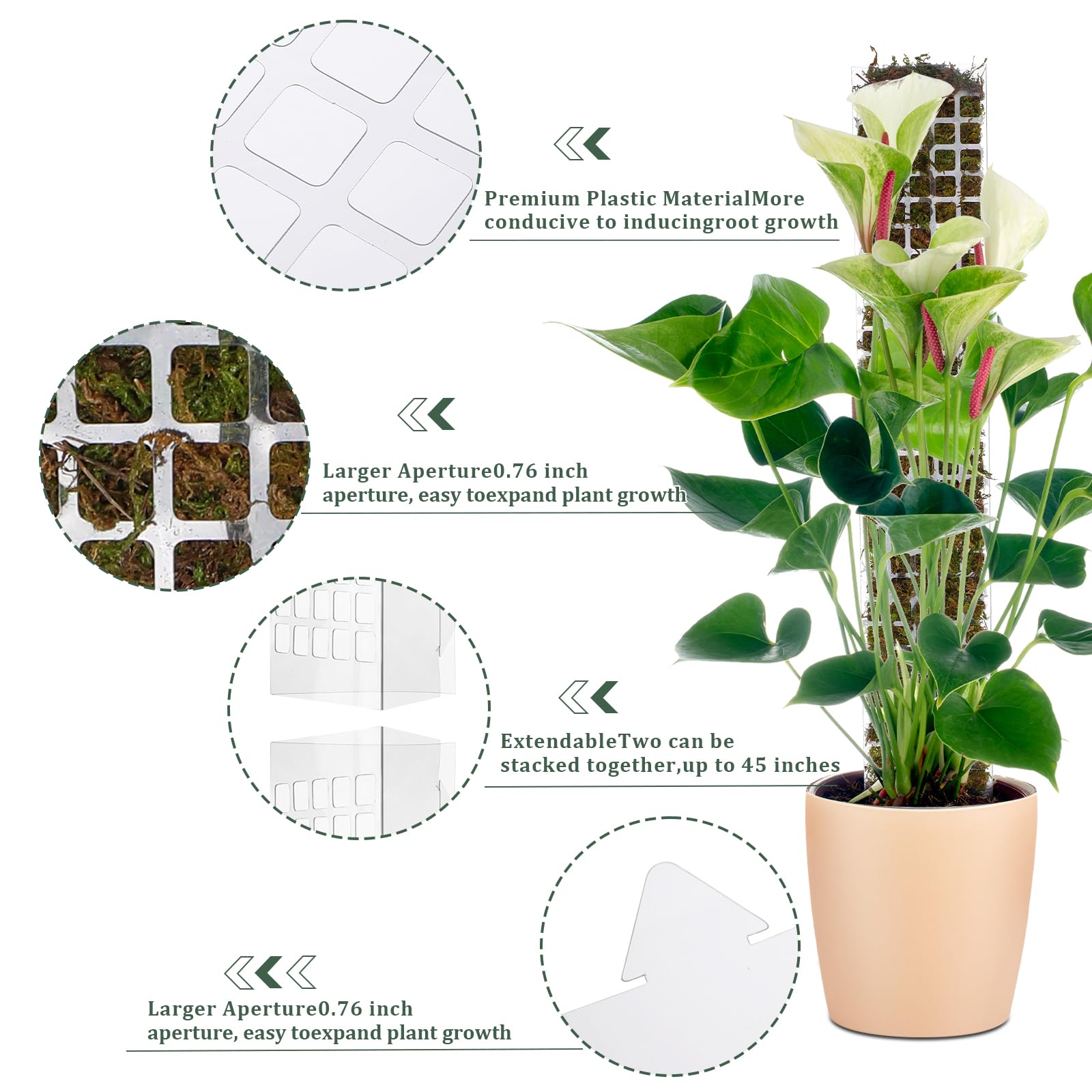 เสาพลาสติกสำหรับพืชเลื้อย สามา - Sphagnum Moss Dry บทวิจารณ์และราคา