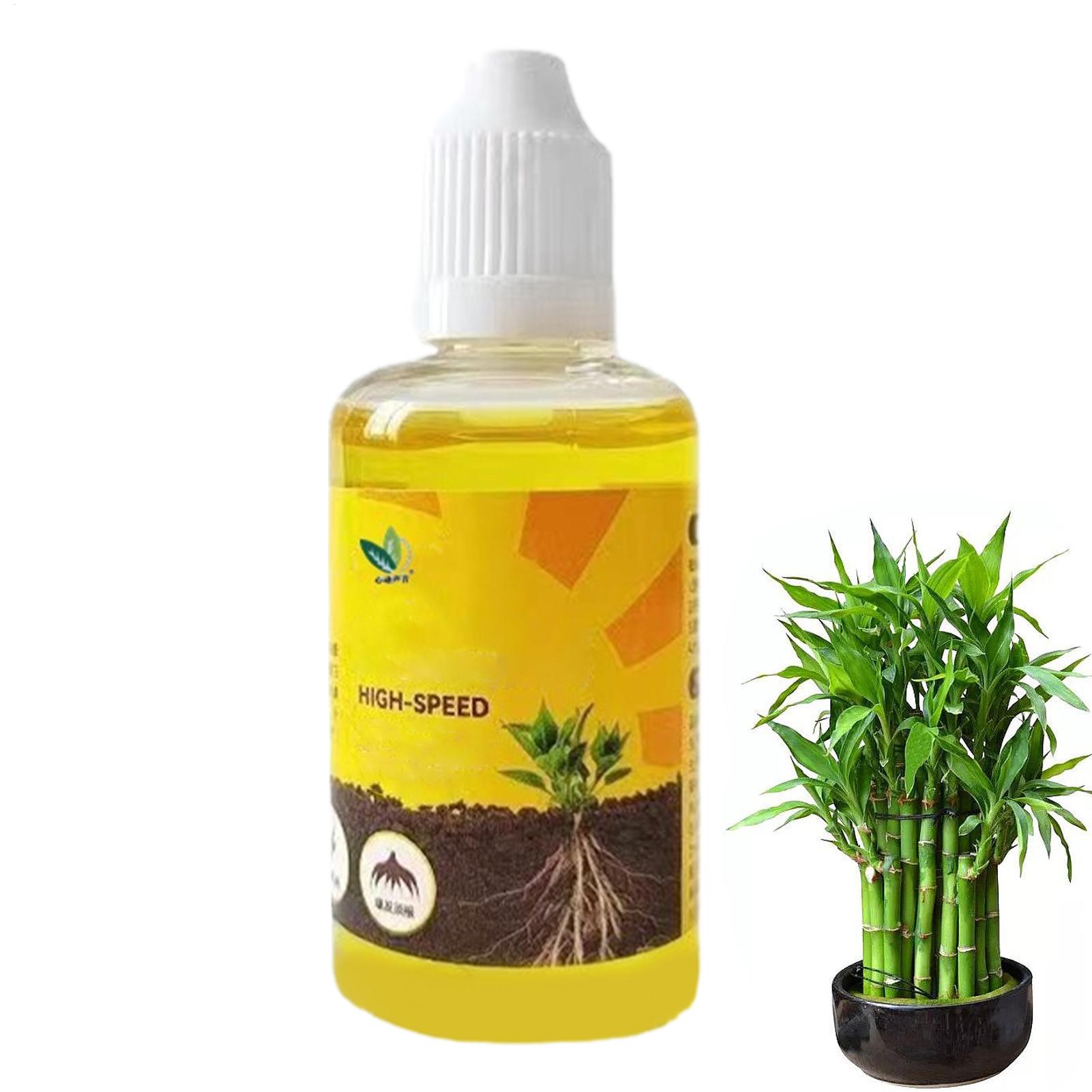 น้ำยาเร่งการแตกหน่อรากพืช น้ำย - Root Stimulator Liquid บทวิจารณ์และราคา