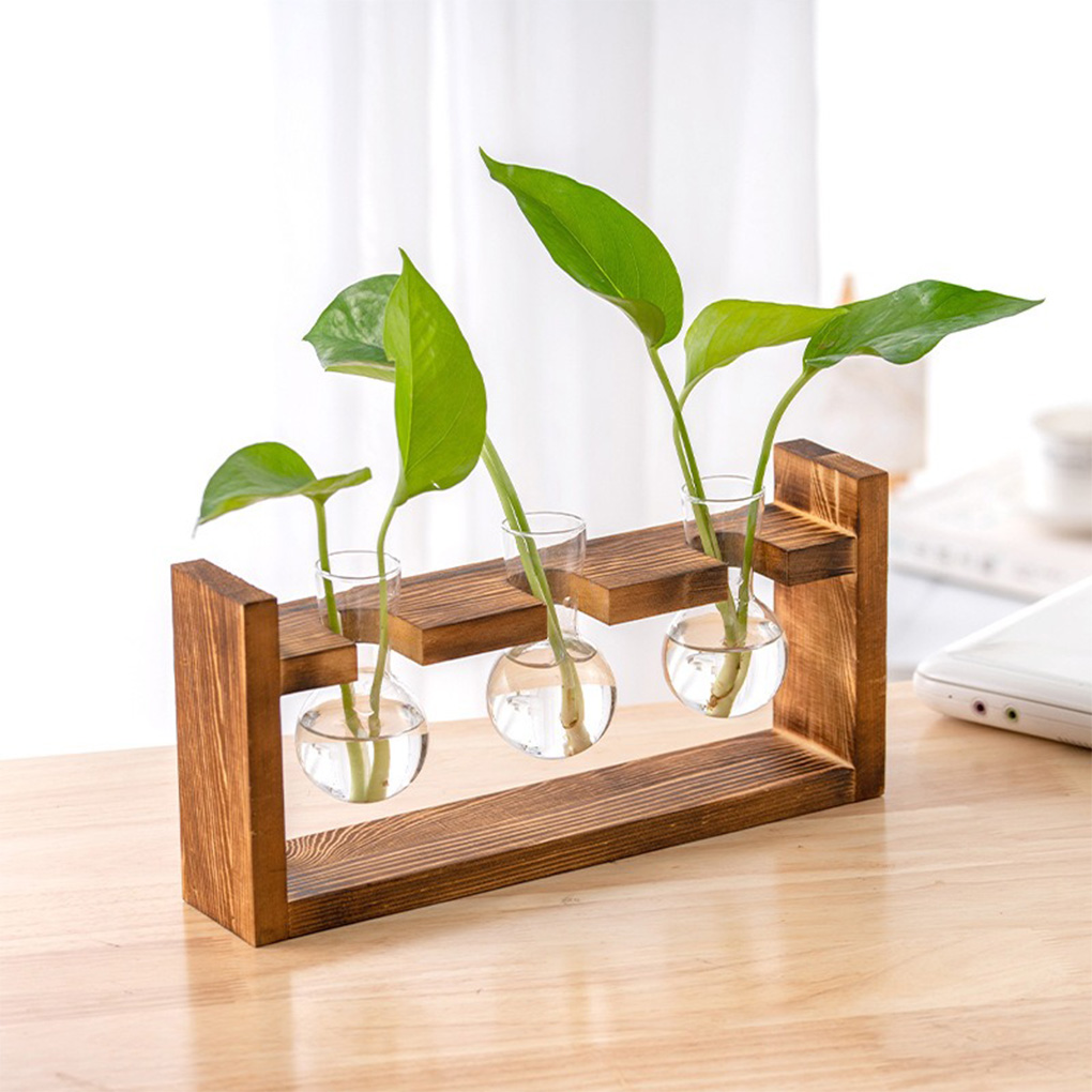 แจกันปลูกต้นไม้ไฮโดรโปนิกส์สำห - Propagation Station Vase บทวิจารณ์และราคา