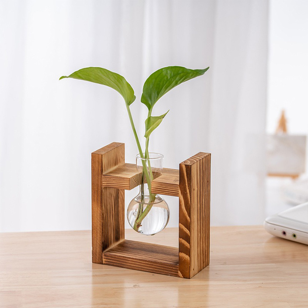แจกันปลูกต้นไม้ไฮโดรโปนิกส์สำห - Propagation Station Vase บทวิจารณ์และราคา