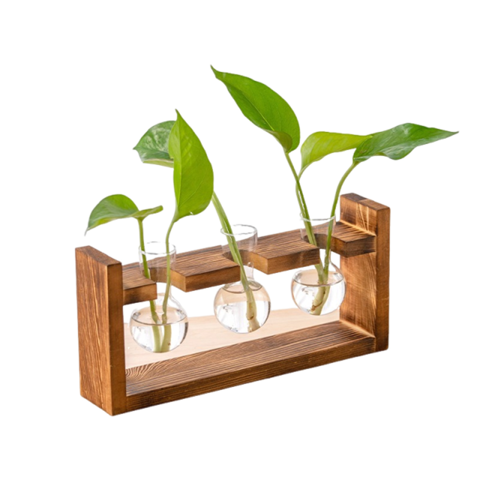 แจกันปลูกต้นไม้ไฮโดรโปนิกส์สำห - Propagation Station Vase บทวิจารณ์และราคา