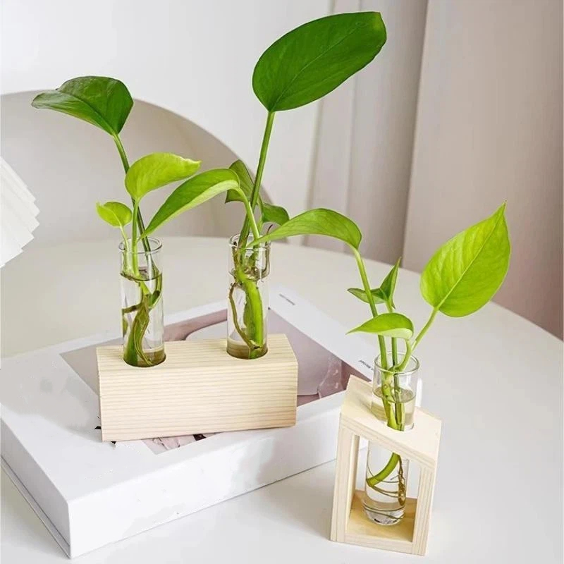 แจกันแก้วทรงหลอดทดลอง สถานีเพา - Propagation Station Vase บทวิจารณ์และราคา