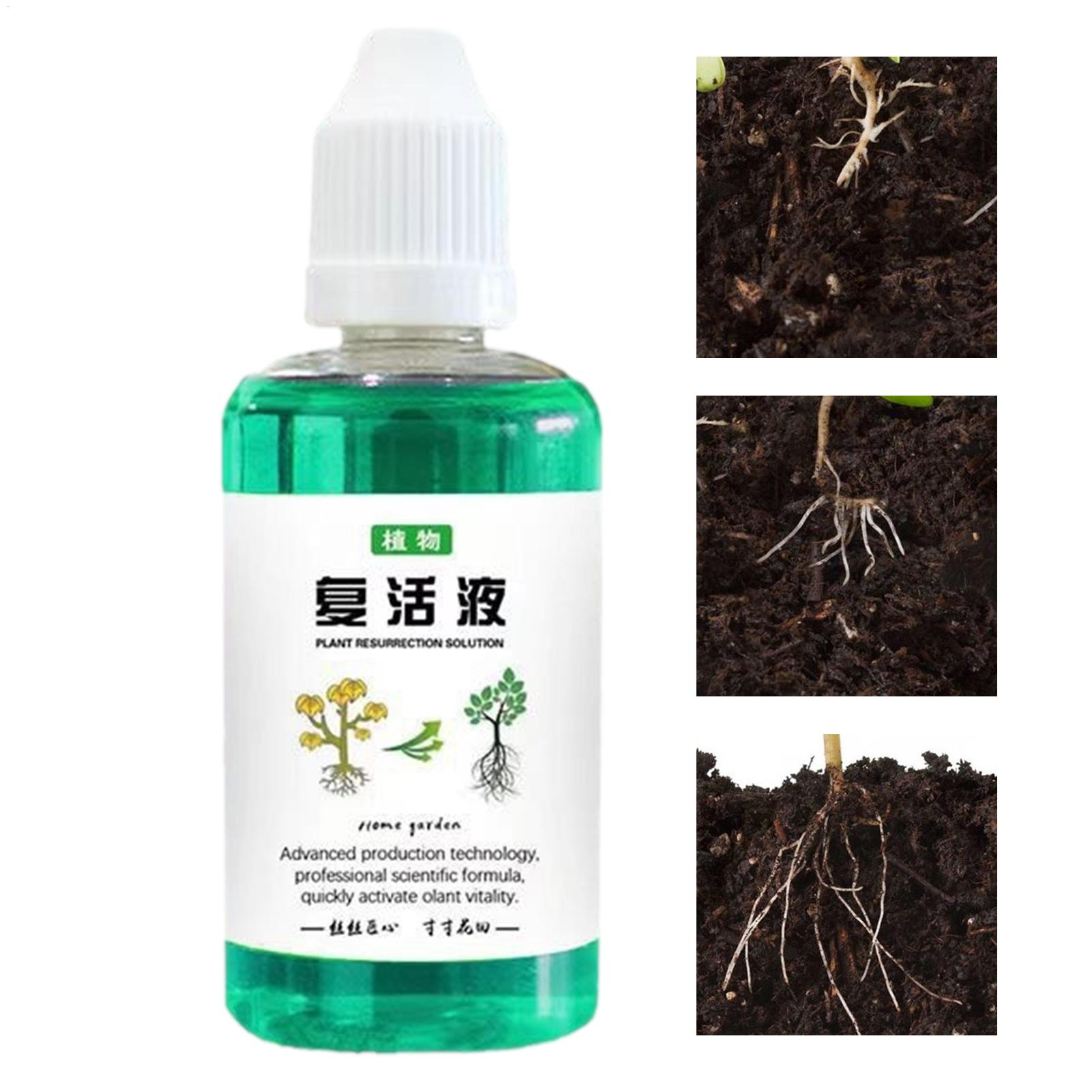 สารกระตุ้นรากสำหรับพืช 50 มล.  - Root Stimulator Liquid บทวิจารณ์และราคา