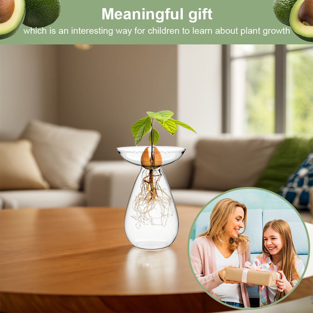 แจกันเพาะเมล็ดอะโวคาโดแบบใส สถ - Propagation Station Vase บทวิจารณ์และราคา